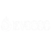 Evo888 logo